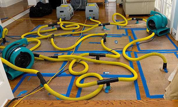Professional Crawl Space Water Removal technician working in Bushland, TX