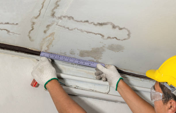 Affordable Water Damage Repair solutions in Bushland, TX